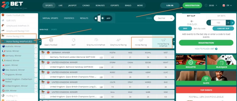 Join Racebets India And Get The Best Horse Racing Betting Experience