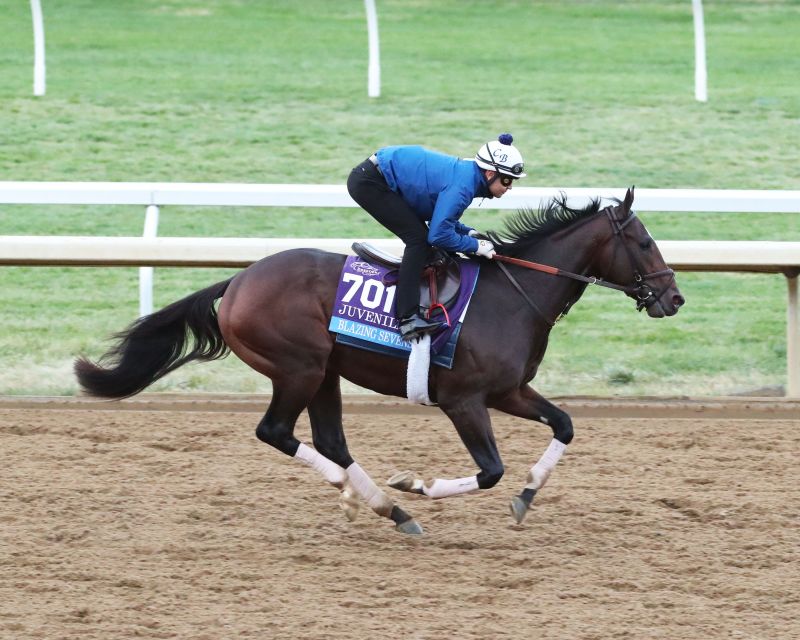 Join Racebets Today For The Best Horse Racing Odds And Experience!