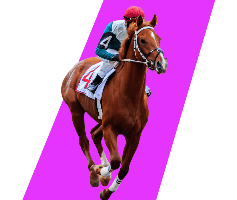 Join The Fun And Bet On Horse Racing At Racebets, India’s Top Site