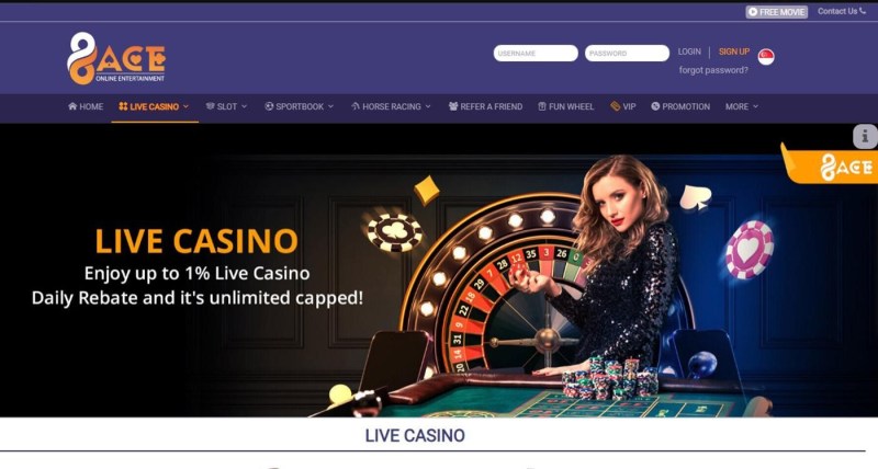 Join The Winning Team At Betandyou