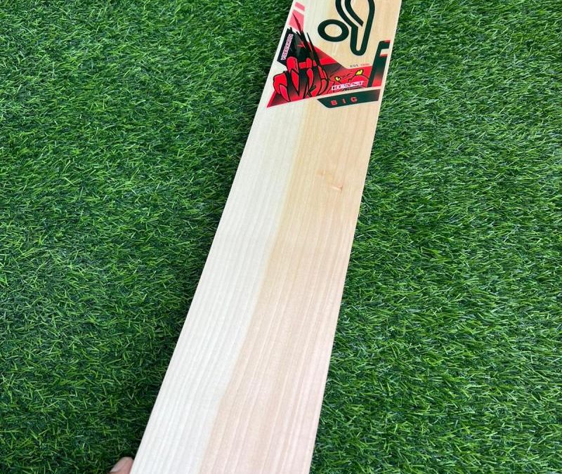 Kookaburra Cricket Bats
