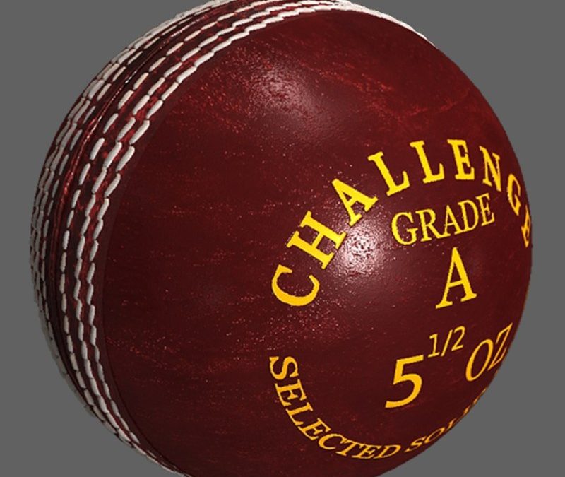 Leather Cricket Ball