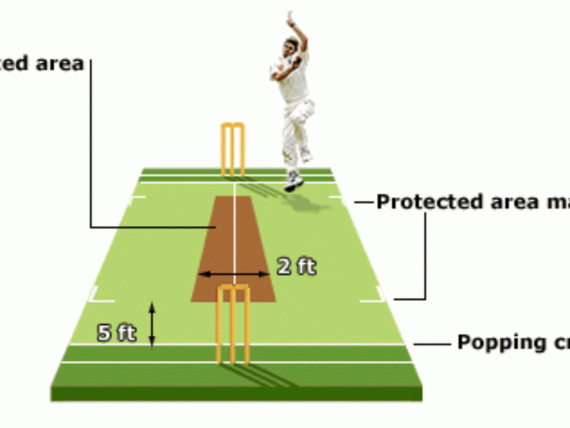 Length Of Cricket Pitch In Feet