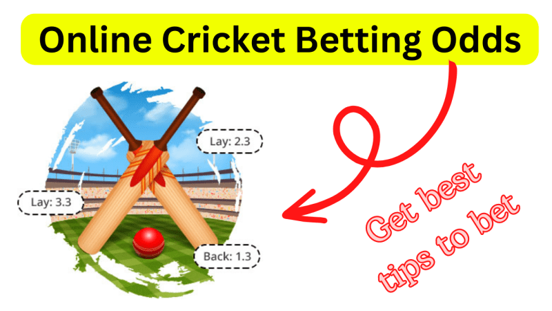 Live Cricket Betting Rates