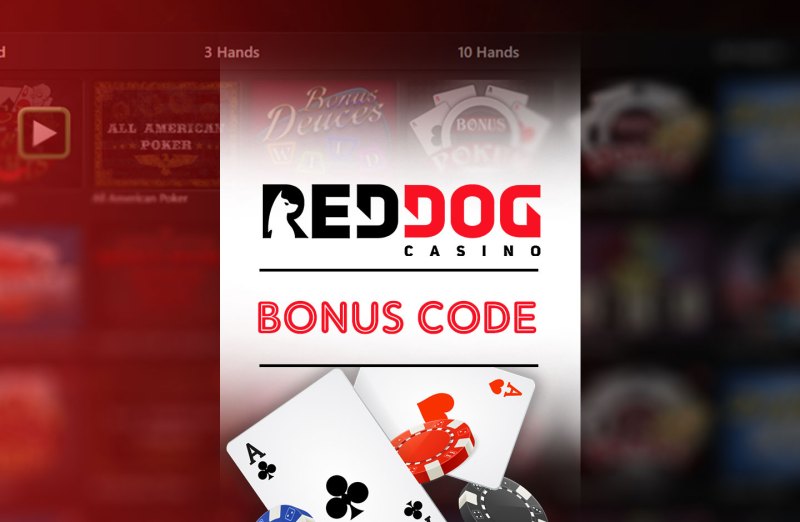 Looking For The Best Casino Bonus In India? Check Out Pin-up Bet For Big Rewards