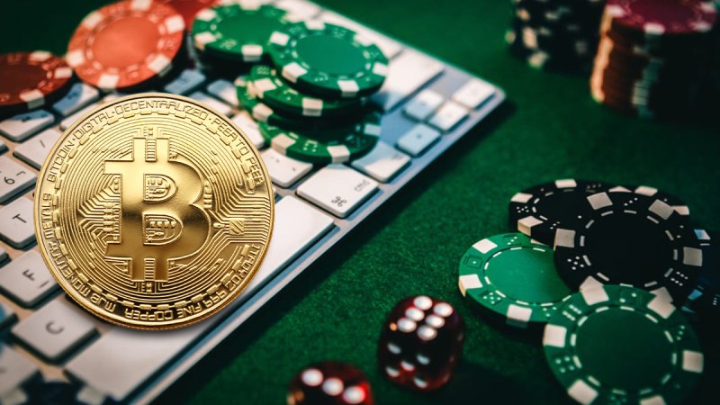 Looking For The Best Online Casino Site In India? Check Out Comeon! For Huge Rewards