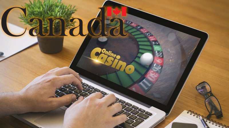 Looking For The Best Online Casino Site In India? Check Out Pin-up Bet For Huge Rewards