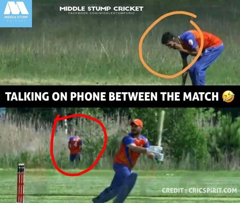 Middle Stump Cricket