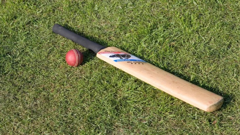 Most Expensive Cricket Bat