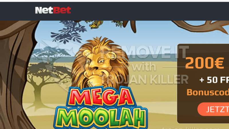 Netbet – The Place To Be For Online Casino Gaming Fun