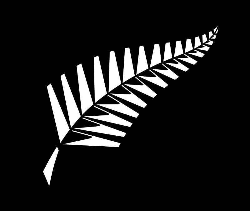 New Zealand Cricket Team