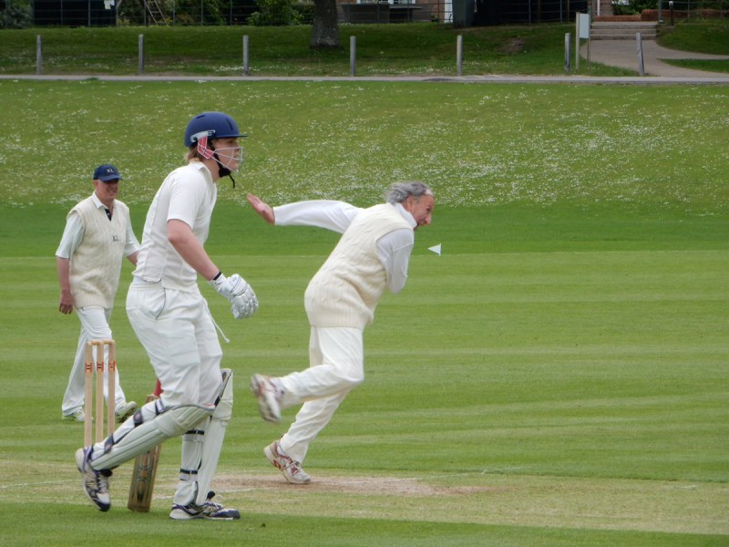 Old Cricket Players