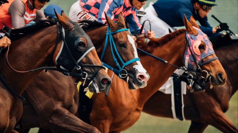 Place Your Bets On Horse Racing With Racebets India