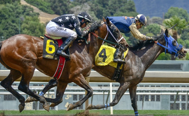 Racebets India: The Home Of Horse Racing Betting In India