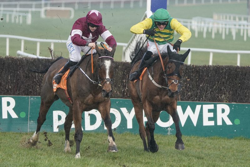 Racebets India: The Ultimate Horse Racing Betting Destination