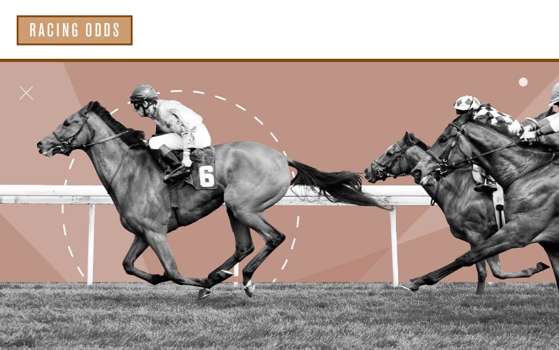 Racebets – The Perfect Place For Horse Racing Fans And Bettors!