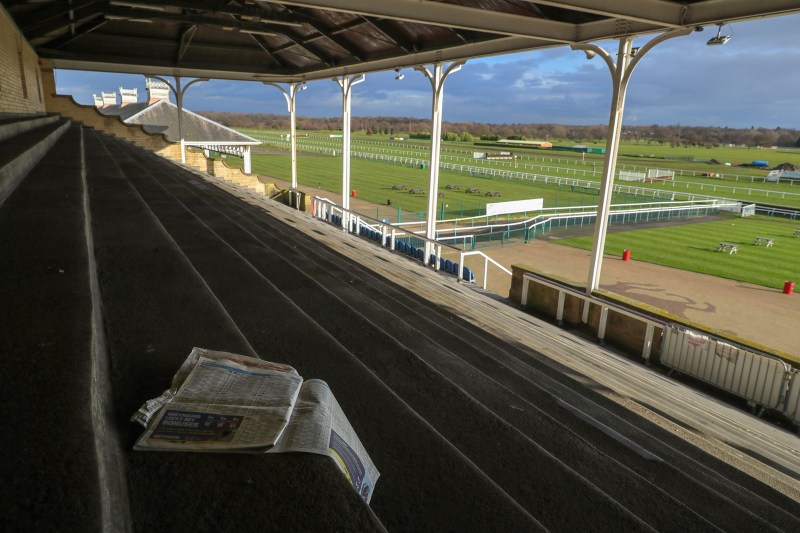 Racebets – The Place To Be For Horse Racing Fans And Bettors!