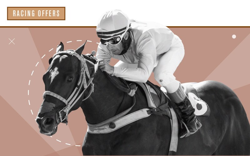 Racebets – Your Ticket To The World Of Horse Racing Betting!