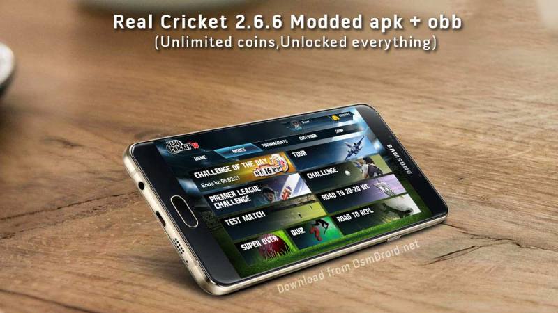 Real Cricket 17 Mod Apk