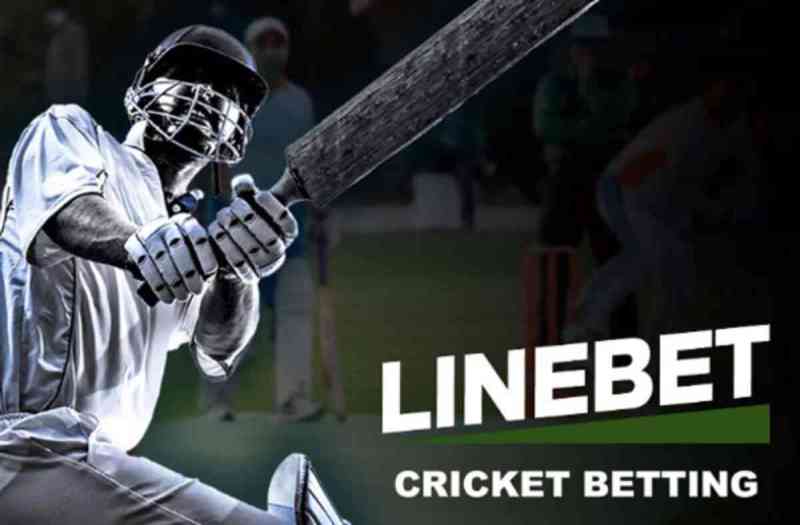 Sign Up For Linebet’s Amazing Casino Bonuses.