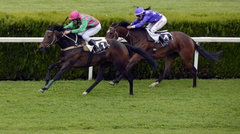 Sign Up For Racebets And Get The Best Horse Racing Experience In India