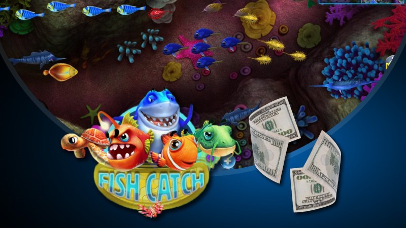 Step Into The World Of Online Casinos With Gamdom India