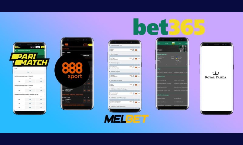 Top 5 Cricket Betting Apps In India