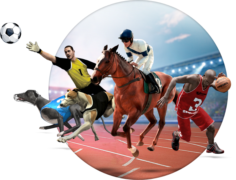 Virtual Betting Sites In India
