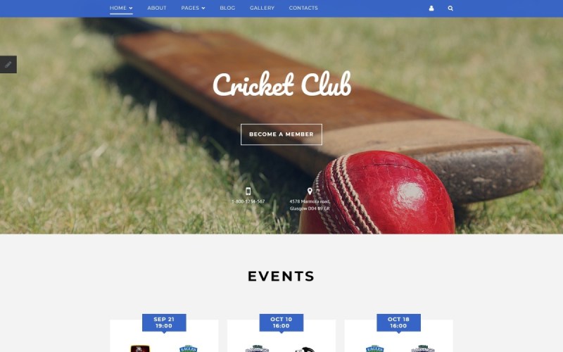 Web Cricket