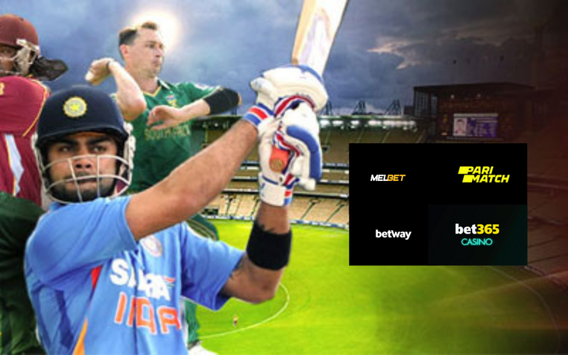 Which Is The Best Cricket Betting App Axycube Solutions Pvt
