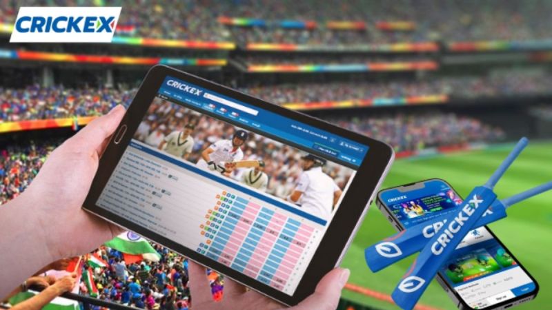Best Betting App For Cricket In India