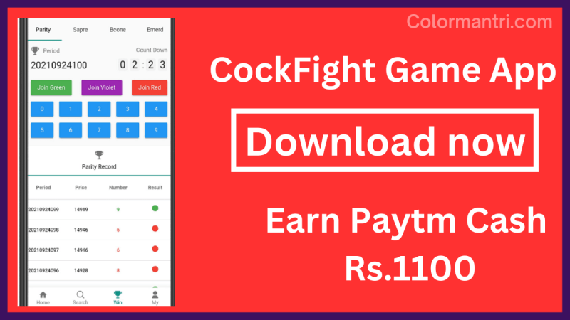 Cockfight Betting App