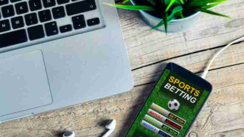 Cricket Gambling