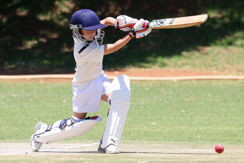 Cricket Money Games