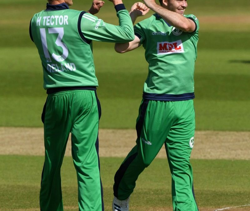 Cricket Odd