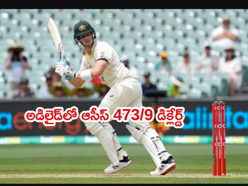 Cricket Telugu News