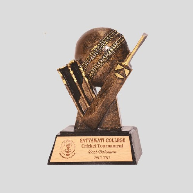 Cricket Trophy - Axycube Solutions Pvt Ltd.