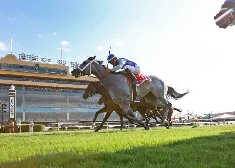 Get Ready For Thrilling Horse Racing Action At Racebets!