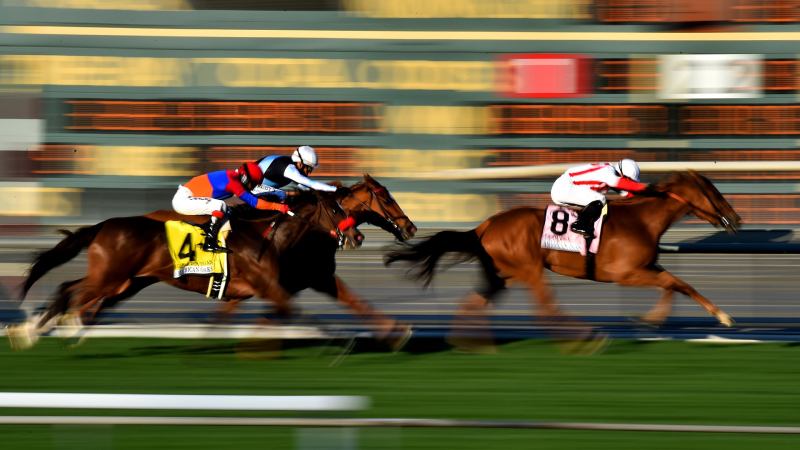 Join Racebets India And Bet On Horse Racing With Confidence