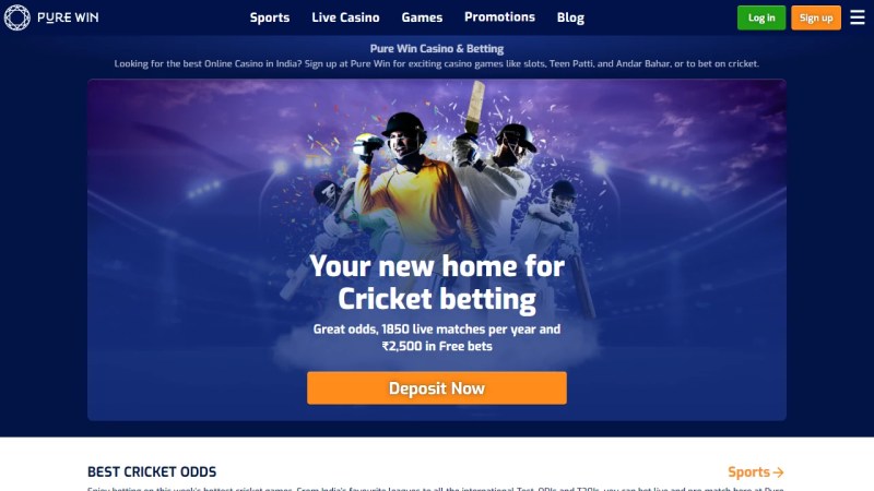 Pure Win: The Top Casino Site In India For Big Wins And Exciting Games