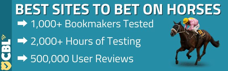 Racebets India: The Top Choice For Indian Horse Racing Bettors
