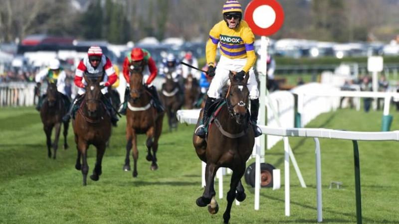Racebets India: Where Horse Racing Fans Come To Bet