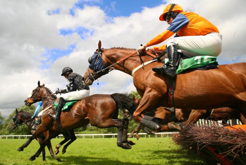 Racebets: The Best Place For Indian Horse Racing Fans To Bet