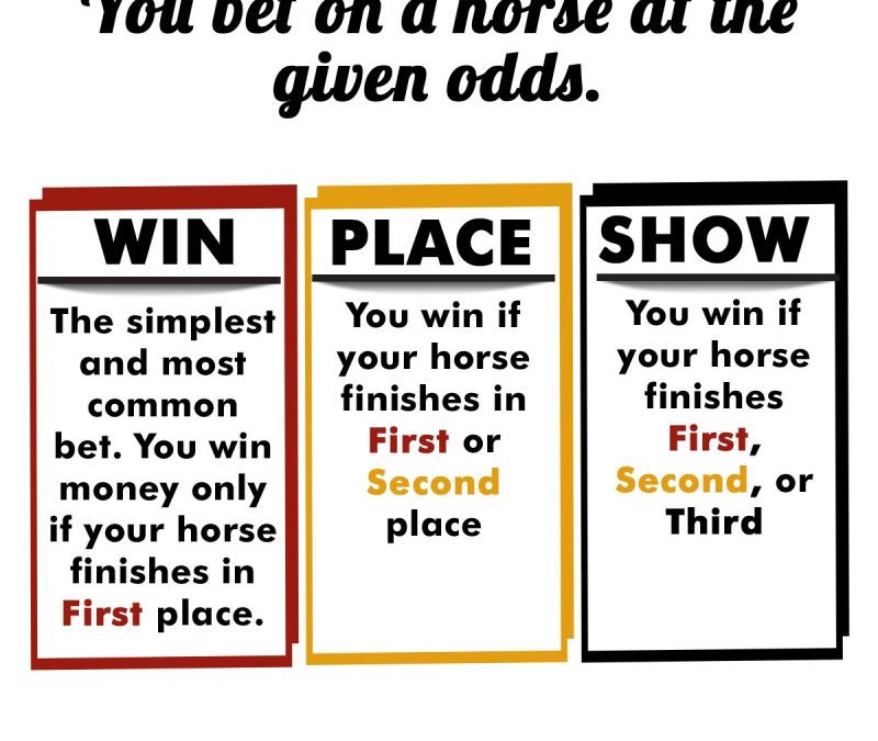 Racebets – The Place Where Horse Racing Fans And Bettors Meet!