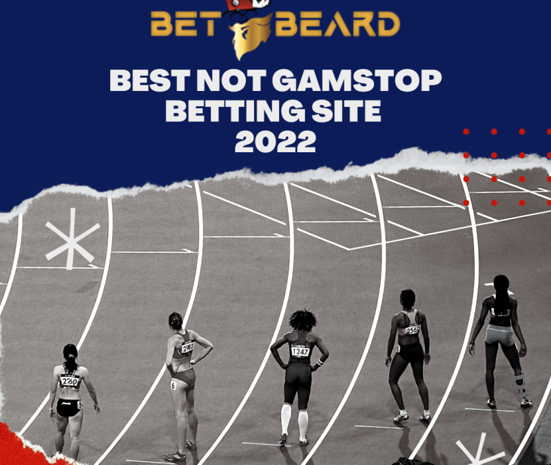 The Betting Site