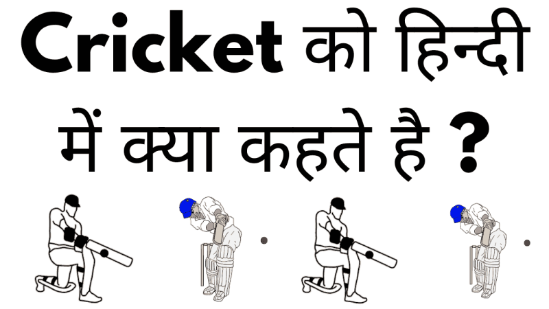 Cricket Ko Hindi Me Kya Kehte